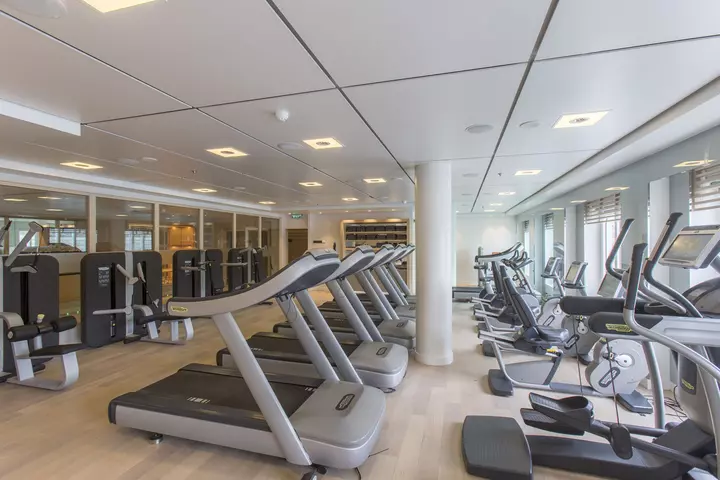 Fincantieri, Viking Sea, Viking Ocean Cruises palestra