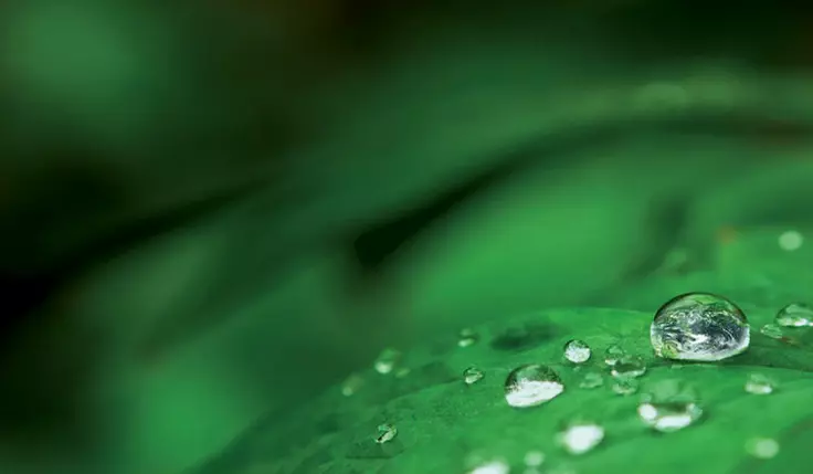 Il Made in Italy si tinge di verde