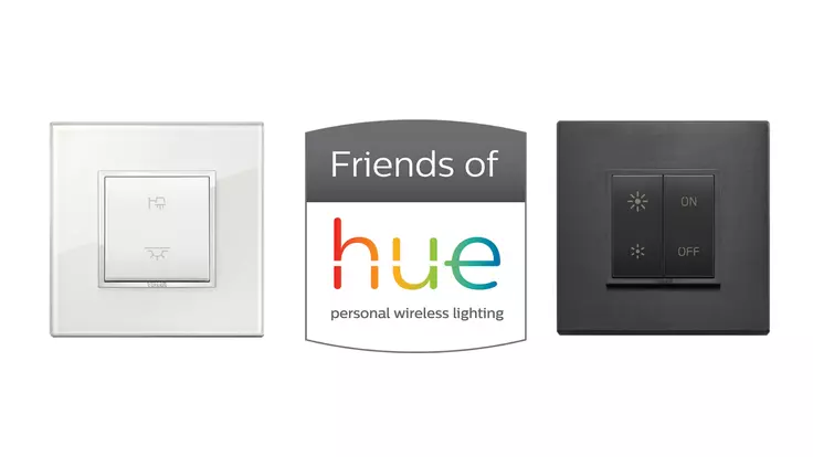 Vimar Friends Of Hue Philips Lighting Comandi Luci Dimmer On-Off