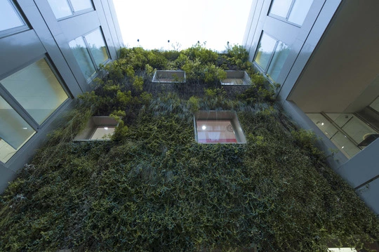 Dispositivi Eikon Evo per Banca di Fornacette - giardino interno