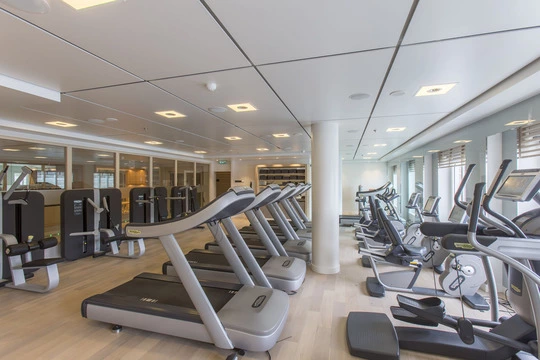Fincantieri, Viking Sea, Viking Ocean Cruises palestra