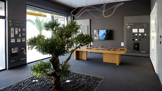 Showroom Tunisi