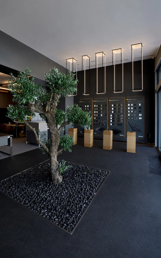 Showroom Tunisi