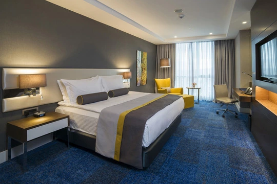 Vimar Radisson Blu Kayseri Camera Doppia