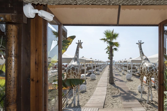 Vimar Sicurezza Elvox Tvcc Twiga Beach Club ingresso