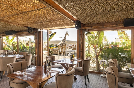 Vimar Sicurezza Elvox Tvcc Twiga Beach Club living