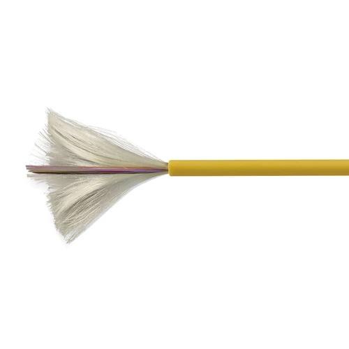 download product photo