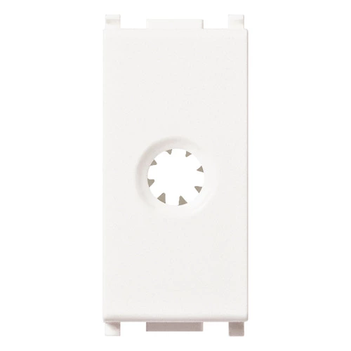 download product photo