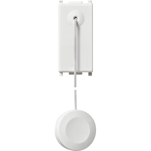 download product photo