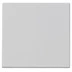Immagine 14506.2.SL