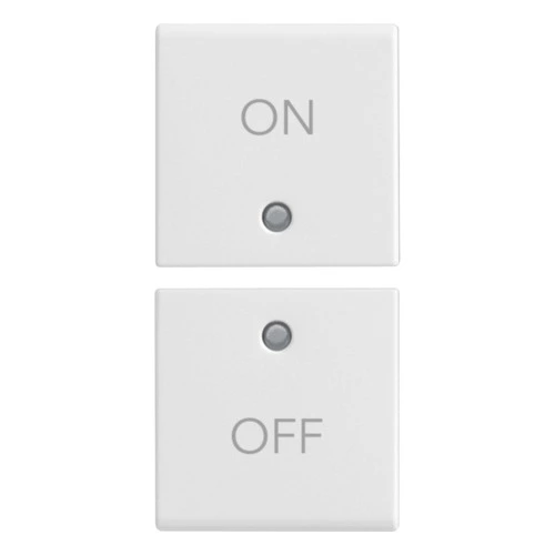 download product photo
