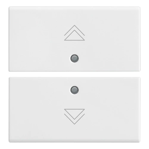 download product photo