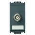 Immagine 16350.S