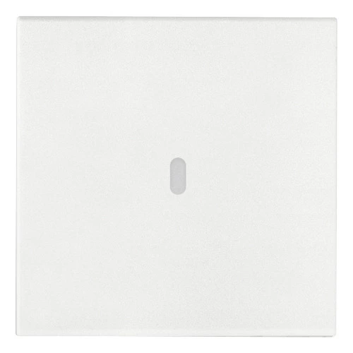 descargar foto producto