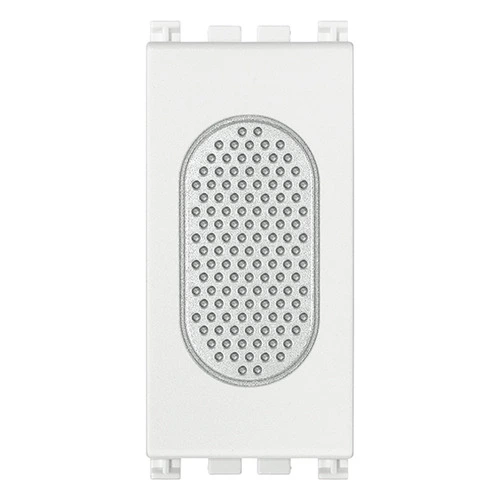 descargar foto producto