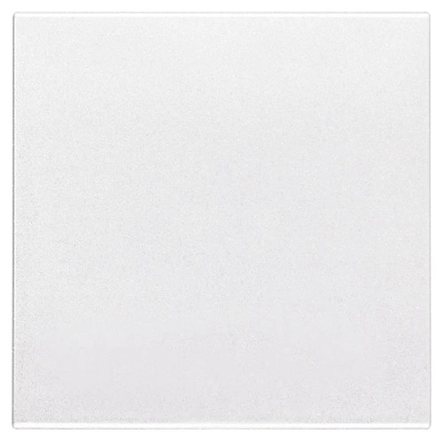 download product photo