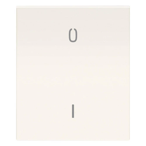 download product photo