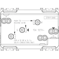 art de la vue arrière. 20243