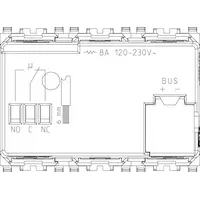 vista posteriore art. R20546