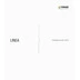 Immagine B.D25006
