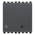 Immagine R20515