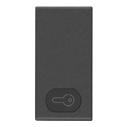 Vimar - 09021.P.CM - Button 1M key symbol carbon matt