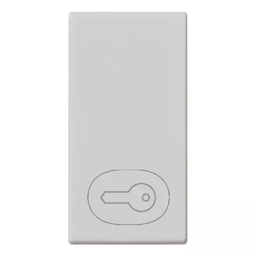 Vimar - 14021.P.SL - Button 1M key symbol Silver