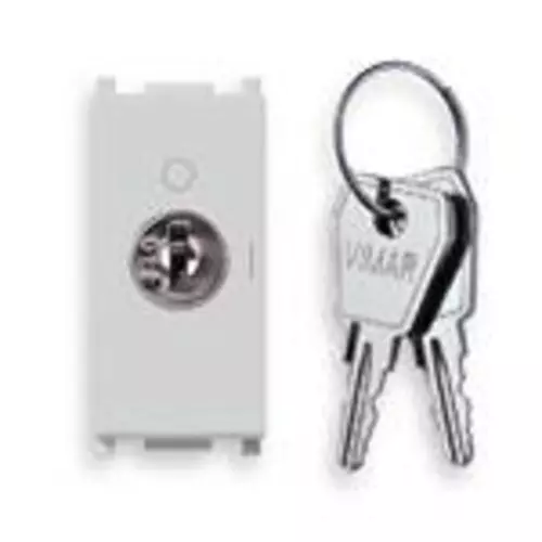 Vimar - 14087.CU.SL - 2P NO 16A push button +000-key Silver