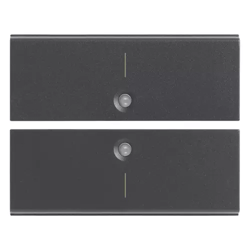 Vimar - 16842.1 - Deux demi-boutons 2M symbole I gris
