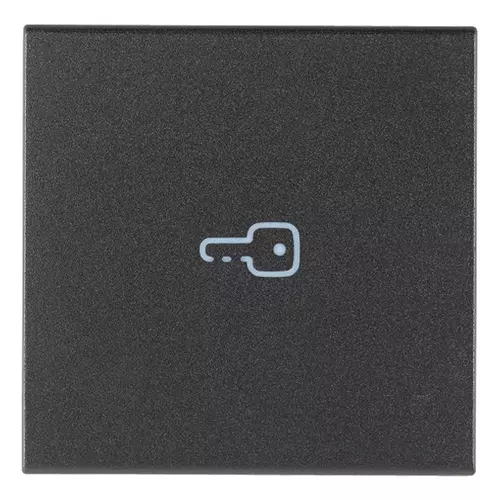 Vimar - 19132.P - Axial button 2M key symbol grey