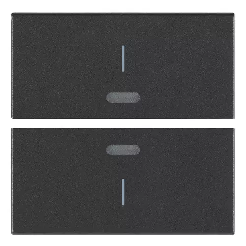 Vimar - 19842.1 - Deux demi-boutons 2M symbole I gris