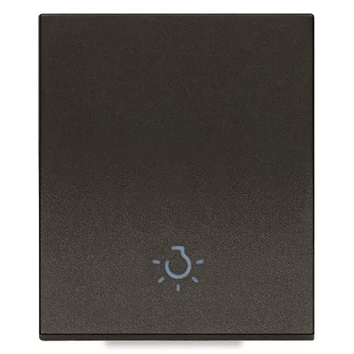 Vimar - 31000.2LG - Touche 2M symbole lumière noir