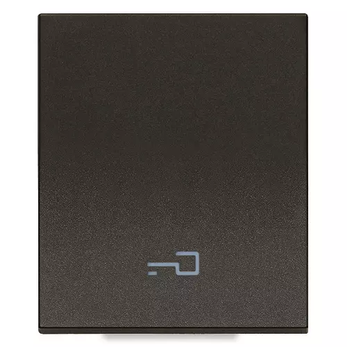 Vimar - 31000.2PG - Touche 2M symbole clé noir