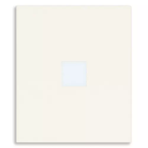 Vimar - 31000A.2DB - Touche 2M axiale avec diffuseur blanc