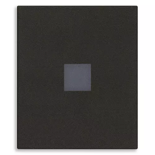 Vimar - 31000A.2DG - Touche 2M axiale avec diffuseur noir