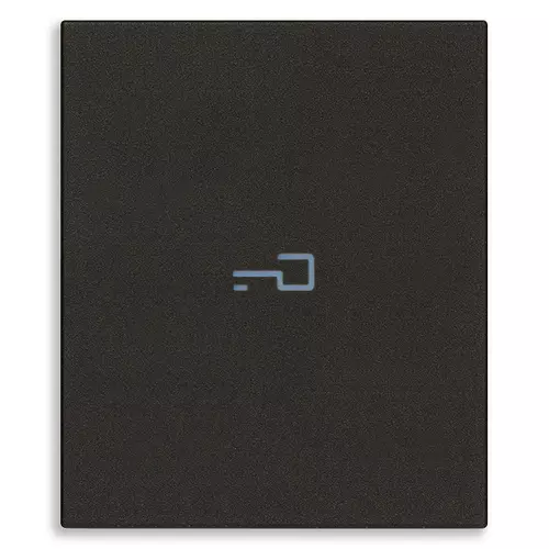 Vimar - 31000A.2PG - Touche 2M axiale symbole clé noir