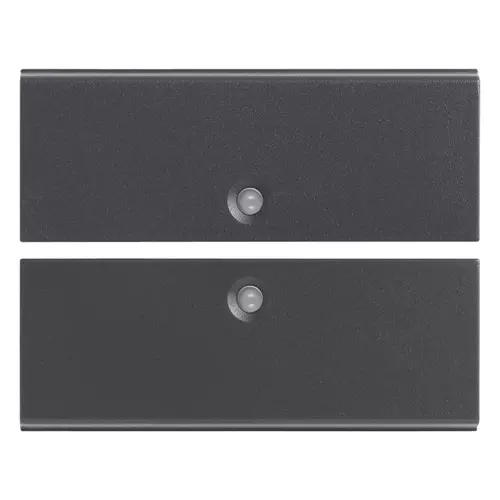 Vimar - R19842 - Two half-buttons 2M w/o symbol grey