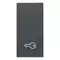 Vimar - 20021.P - Button 1M key symbol grey