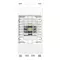 Vimar - 20381.012.B - LED-lamp 1M 12V white