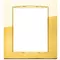 Vimar - 20668.G24 - Classic plate 8M Galvan.polished gold