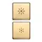 Vimar - 22751.3.82 - 2 buttons Flat regulation symbol gold