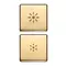 Vimar - 22751.3.82 - Due tasti Flat dimmer oro