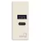 Vimar - 30292.ACC - Μονάδα τροφοδ.USB A+C 12W 2,4A 5Vκάνναβη