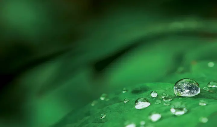 Il Made in Italy si tinge di verde