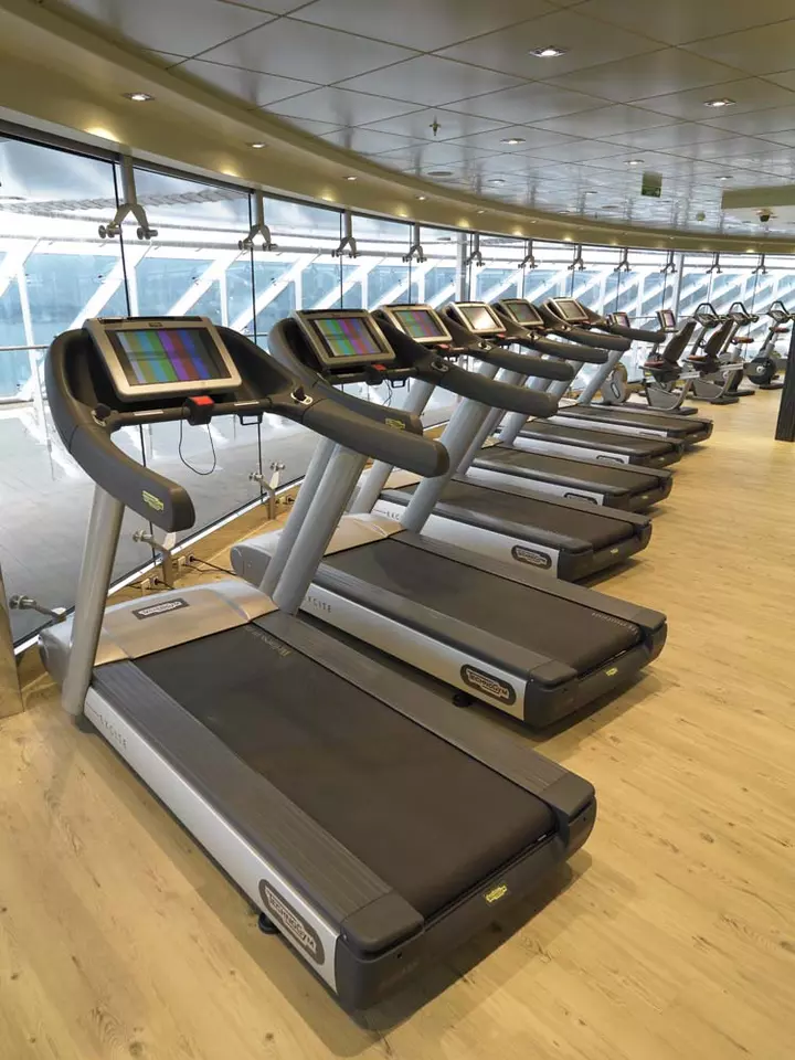 Nave crociera msc fantasia plana fitness