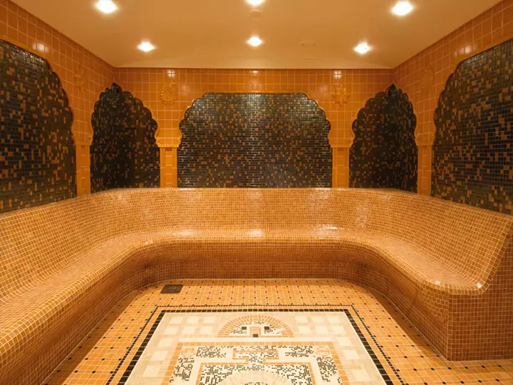 Nave crociera msc musica plana sauna