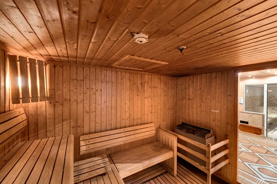 Sauna dsc