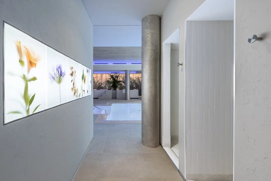 Vimar Ca Apollonio Heritage 126
